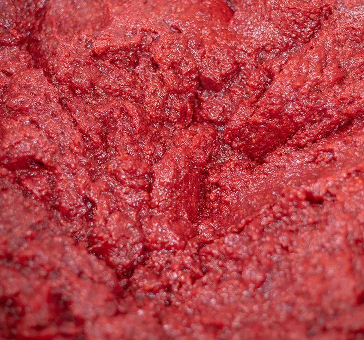 Production garniture macaron framboise