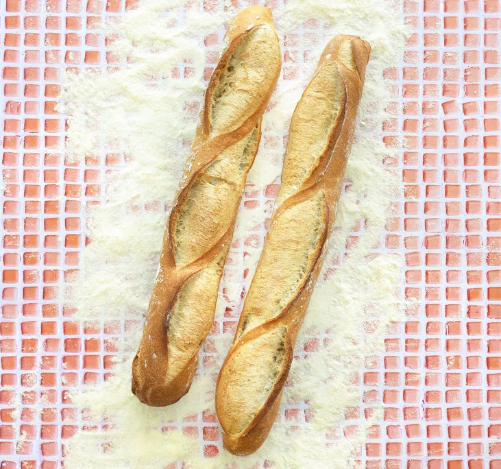 202608 - Baguette IMG_8785