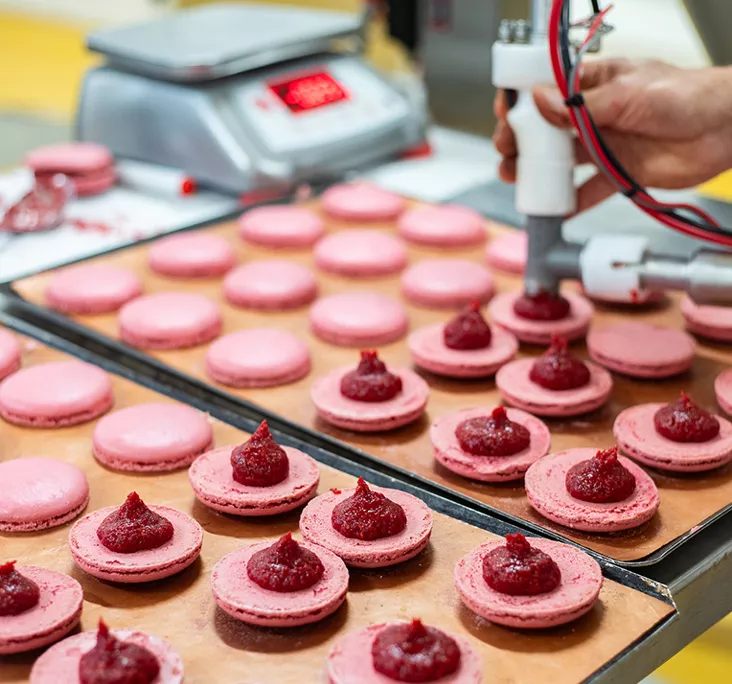 Production macaron framboise